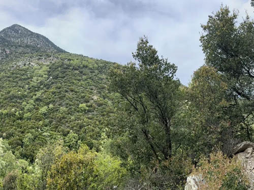 Village to village hiking routes in Taygetos